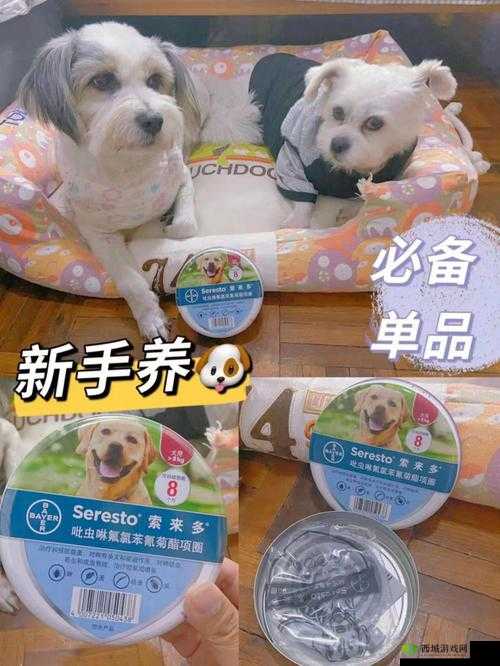 人狗胶配方大全狗狗一:探索独特配方秘籍