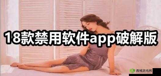 免费的禁用的 APP：超越限制的工具