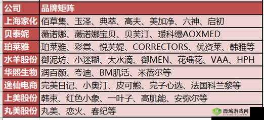 成品网源码 78w78：独特的代码特征