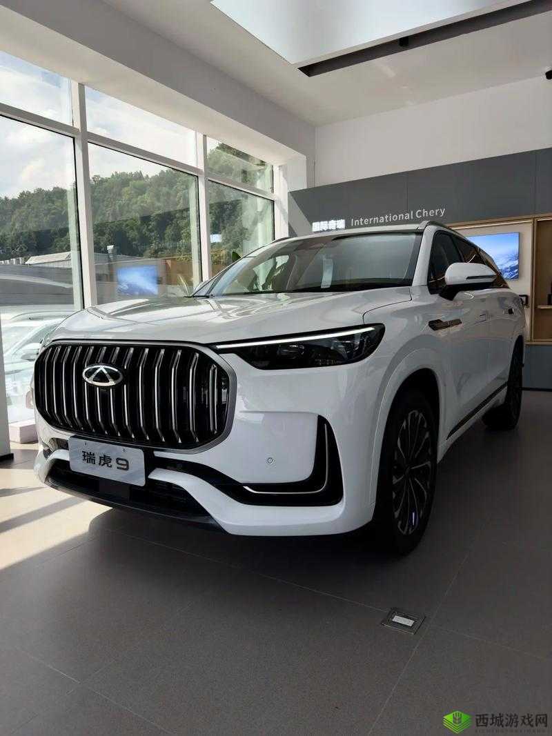 国产 SUV 精二区九色:高性价比之选