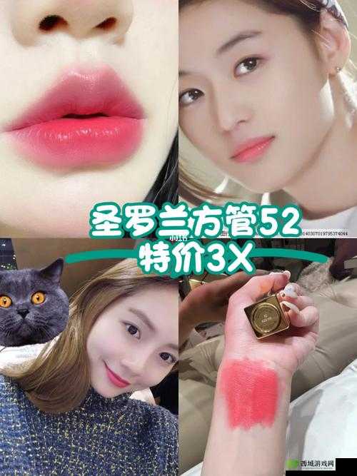 Ysl蜜桃棕调色视频 :教你轻松打造迷人妆容秘籍