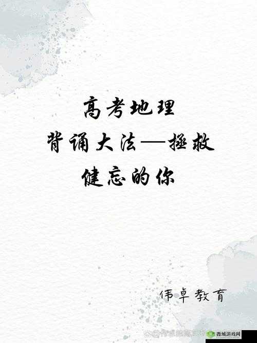 以匠心独运，编织梦想的经纬，共创多彩人生与未来愿景