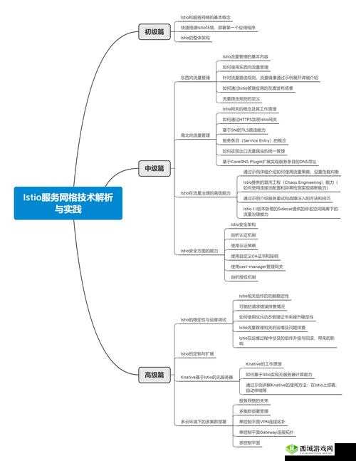 VIDEOCODECWMVIDEODECODER 技术原理与应用实例解析