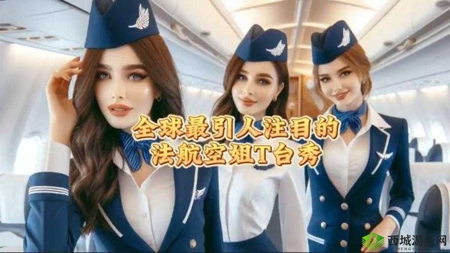 法国空乘 2017 法版：揭秘空中服务的美丽与挑战