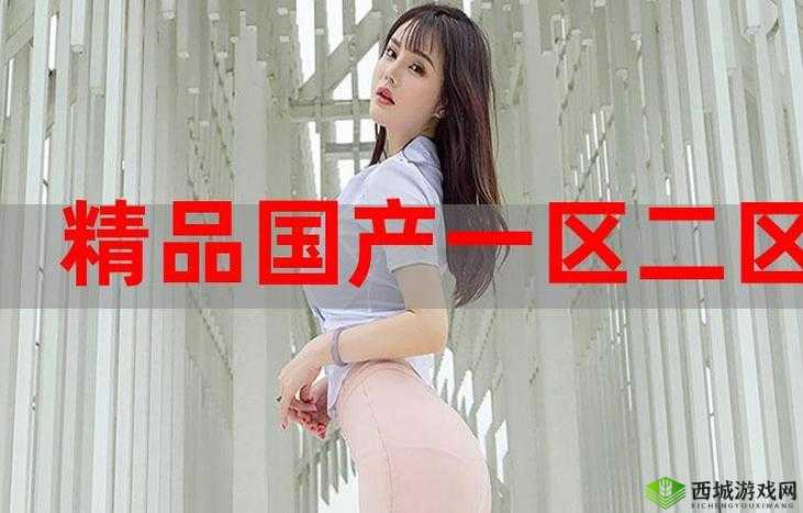 国精产品一区一区三区有限是什么:深入探究其内涵与特点