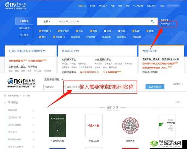 在线观看下载鉴定师:如何辨别真伪?专家教你几招